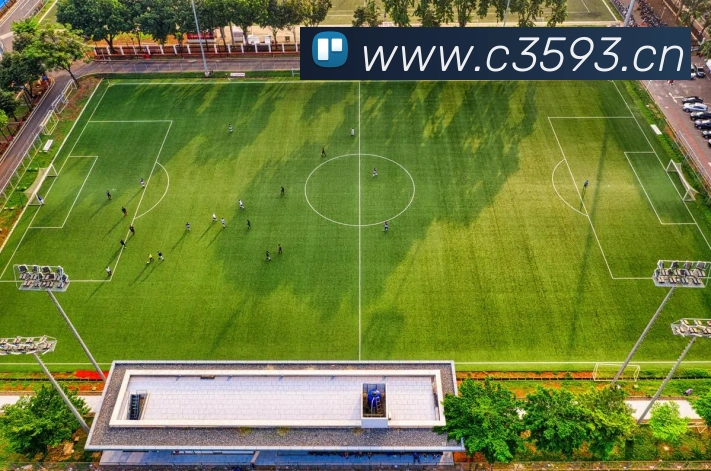 东升国际手机版下载APP 封面图