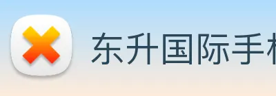 东升国际手机版下载 logo